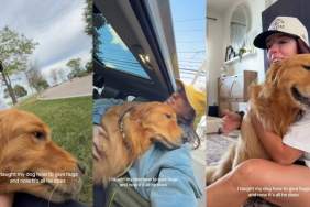 Video: Once Dog Learns Hugging From Owner, It's All He Does