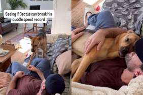 Video: Rescue Puppy Is 'Pretty Darn Quick' When Owner Wants Cuddles