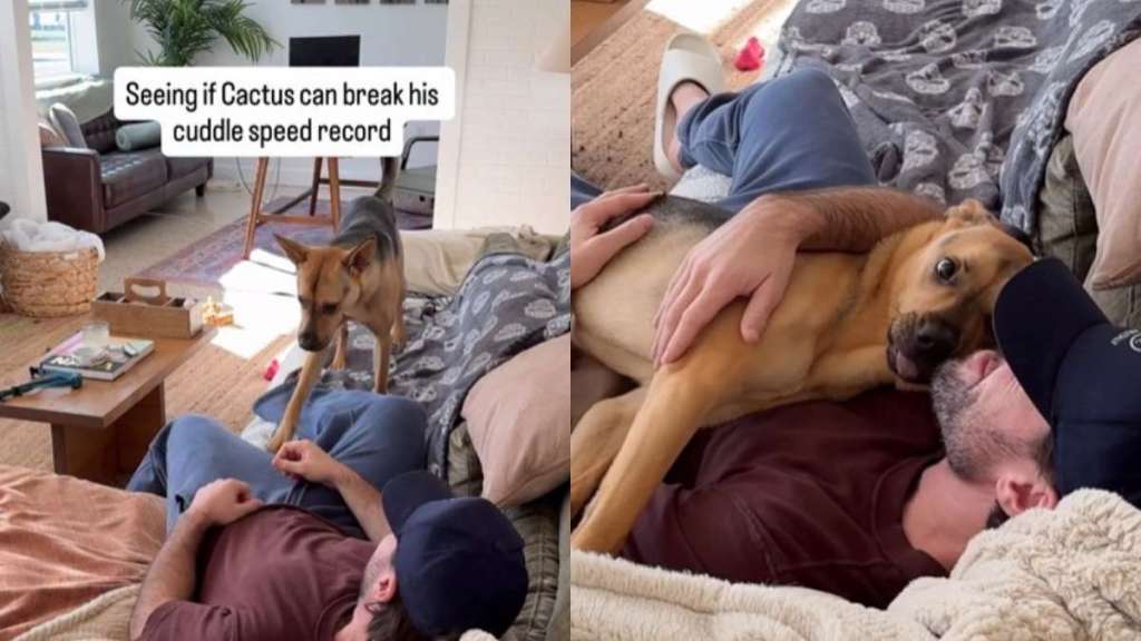 Video: Rescue Puppy Is 'Pretty Darn Quick' When Owner Wants Cuddles