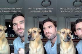 Rescue Puppy & Owner Are 'Look-Alikes' in Adorable Video