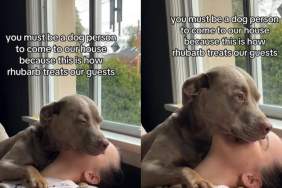 Video: Owner Proves Dog Is the 'Best Host' When Guest Arrives