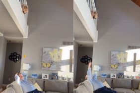 Video: Golden Retriever Will Do Whatever It Takes to Keep Ball Time Going