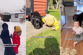 Video Shows What Happens When Kids Grow Up With Dogs