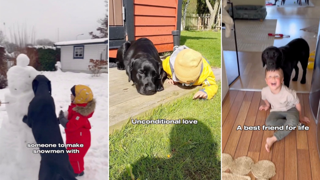 Video Shows What Happens When Kids Grow Up With Dogs