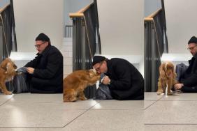 Video: Dog Does What Most Dogs Won't Do Easily When It Comes to Cleaning Paws