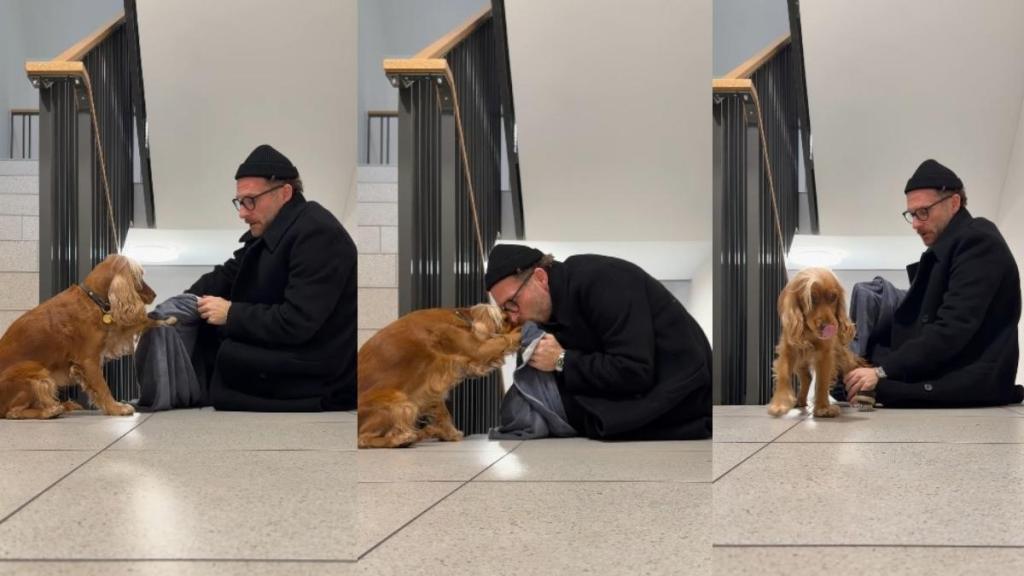 Video: Dog Does What Most Dogs Won't Do Easily When It Comes to Cleaning Paws