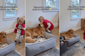 Video: Golden Retriever & Baby Boy's 'Goodbye Routine' Melts Owner