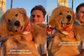Golden Retriever's Sun-Kissed Video Goes Viral & You'll See Why