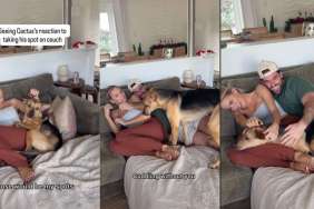 Rescue Puppy's Surprise Reaction to Losing His Spot on the Couch Is Priceless