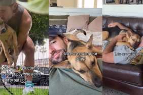 Video Shows How Rescue Puppy Helped Owner 'Reroute' Their Life