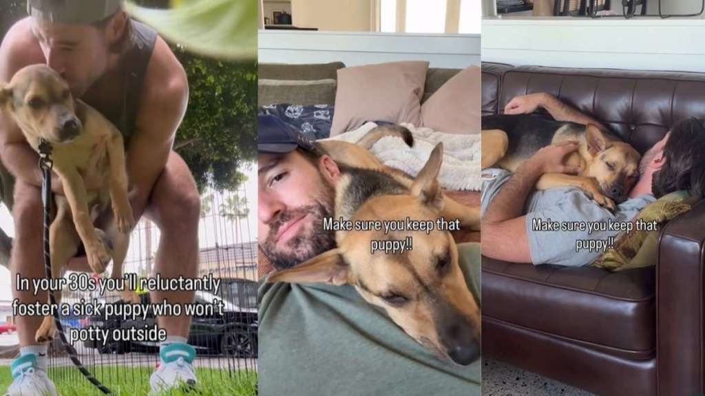 Video Shows How Rescue Puppy Helped Owner 'Reroute' Their Life