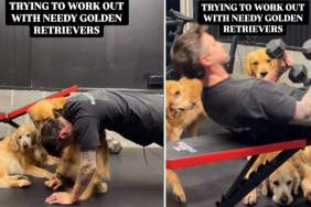 'Needy' Golden Retrievers Aren't Ideal Workout Partners for Dad