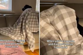 Video: Staffy’s Mid-Nap Tail Wags Are So Wild When Dad’s Home