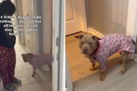 Video: Bully Does Everything To Avoid Leaving Grandma’s House