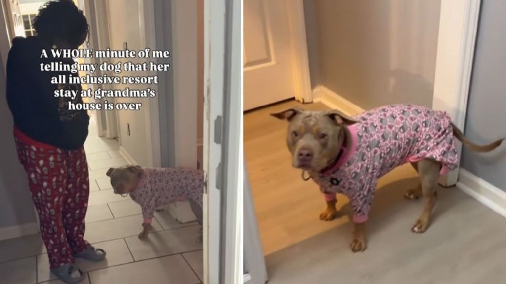 Video: Bully Does Everything To Avoid Leaving Grandma’s House