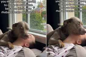 Owner Shows Why One Has To Be ‘Dog Person’ To Visit House in Viral Video