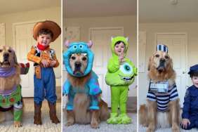 Golden Retriever & Little Boy Costume Haul Goes Viral for Right Reasons