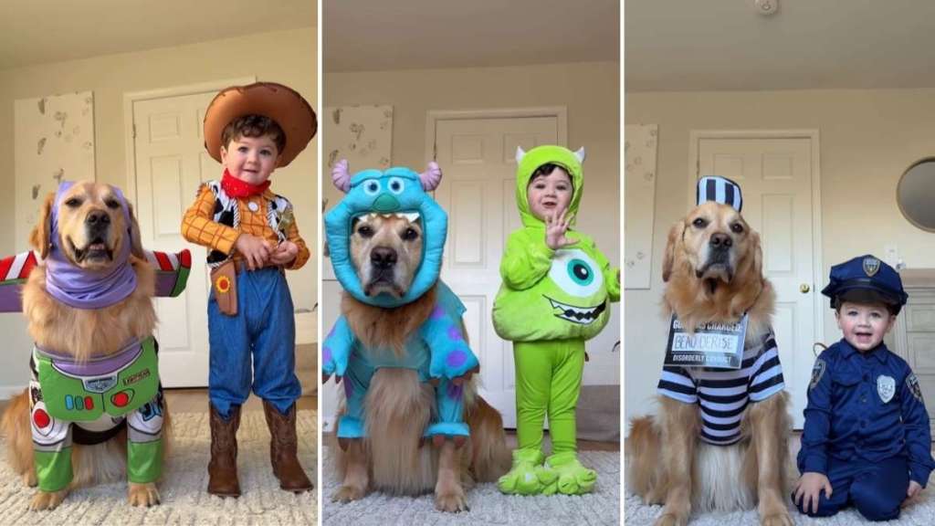 Golden Retriever & Little Boy Costume Haul Goes Viral for Right Reasons
