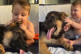 Video: Dog & Little Baby Play, Cuddle & Are Irresistibly Cute Together