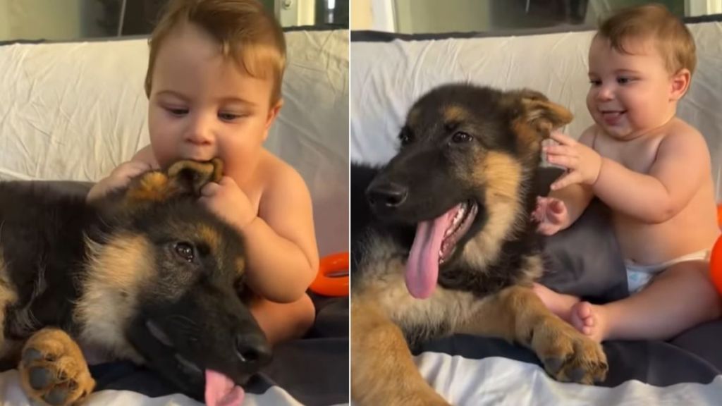 Video: Dog & Little Baby Play, Cuddle & Are Irresistibly Cute Together