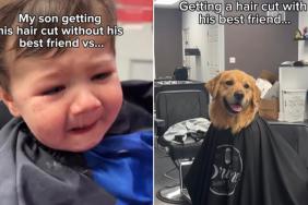 Golden Retriever Is Little Boy's Ultimate Haircut Buddy in Cute Video