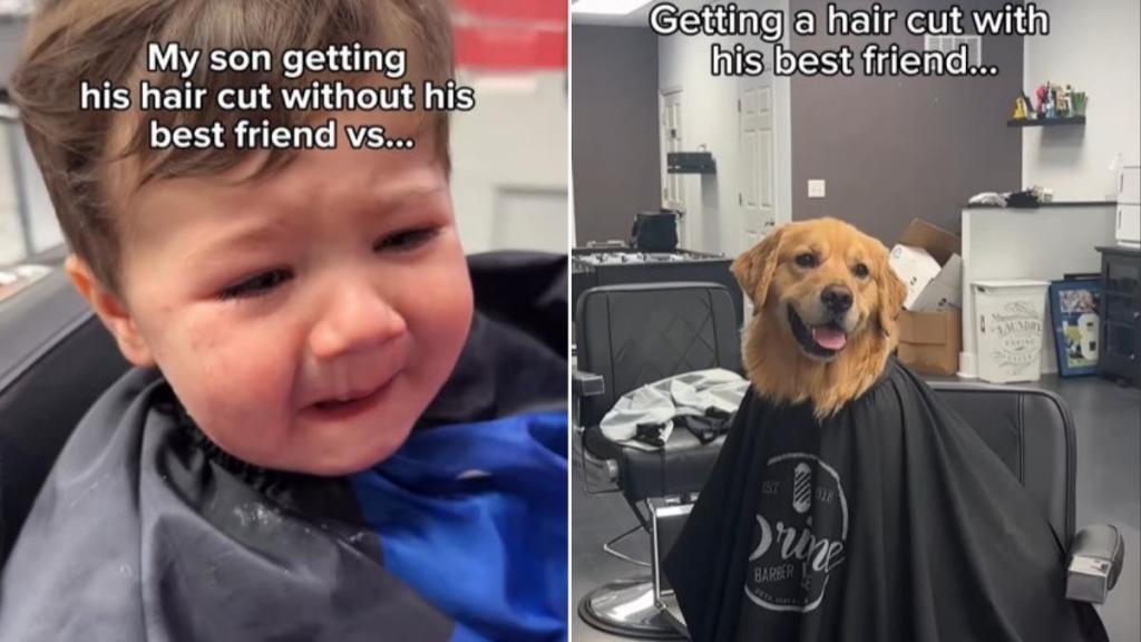 Golden Retriever Is Little Boy's Ultimate Haircut Buddy in Cute Video