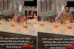 Owners Celebrate Dogs’ Birthdays for This Heartwarming Reason