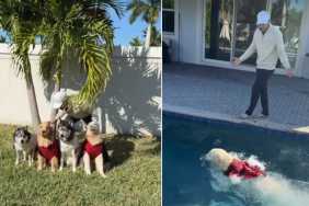 Golden Retriever Jumps Into Pool During Family Photo Time