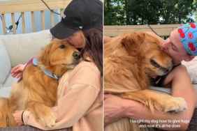 Owner Teaches Golden Retriever How to Give Hugs & Now, He Can't Stop