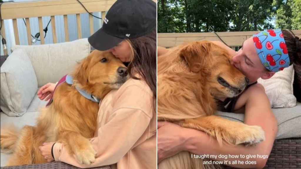 Owner Teaches Golden Retriever How to Give Hugs & Now, He Can't Stop