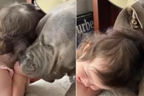 Dog Planting Kisses on Little Girl Is the Cutest Video You’ll See