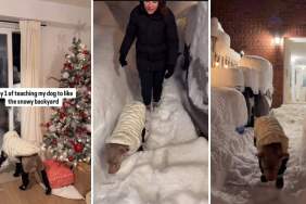 Video: Bully ‘Learns To Love Snowy Backyard’ Wearing Boots