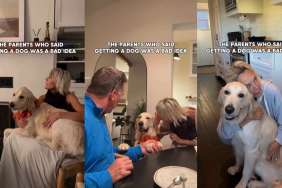 Video Shows Parents Who Didn't Want a Dog & Now Have One