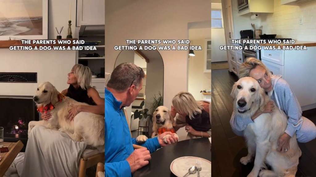 Video Shows Parents Who Didn't Want a Dog & Now Have One