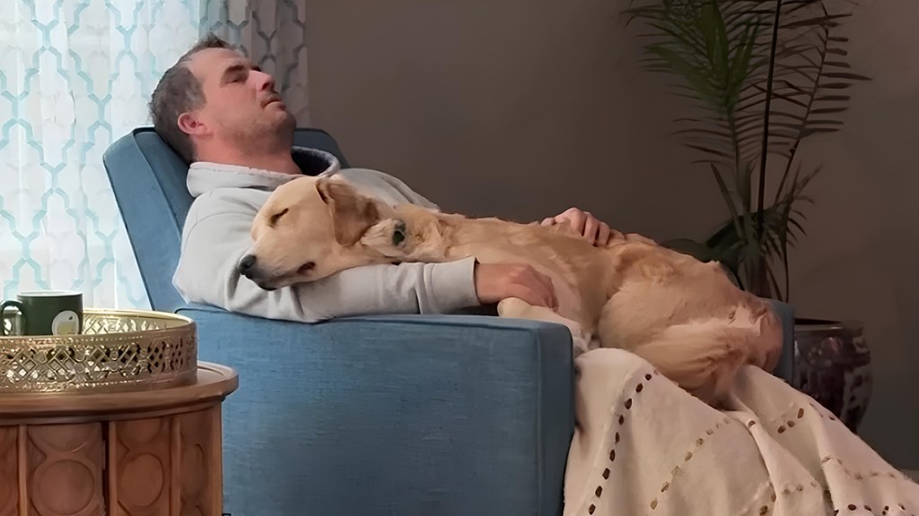 Video Proves Golden Retrievers 'Can Cure Even the Worst Days'