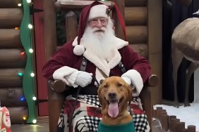 Video: Dog 'Loses His Mind' Over Meeting Santa First Time