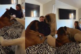 Video: Dogs Fight To Get Their Sister’s Attention