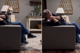 Video: Dog's First Meeting With Grandma Goes Unexpectedly