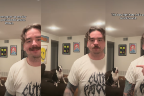 Dog Training to Become a Professional Athlete Doesn't Turn Out to Be Promising