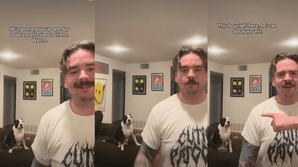 Dog Training to Become a Professional Athlete Doesn't Turn Out to Be Promising