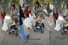 Video Shows How a Big, Fluffy Dog Makes Little Girl's Day