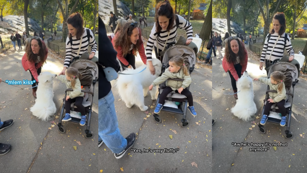 Video Shows How a Big, Fluffy Dog Makes Little Girl's Day
