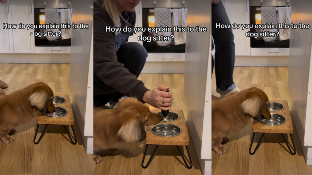 Video: Dachshund Won't Drink Water Unless It's 'Frothed'