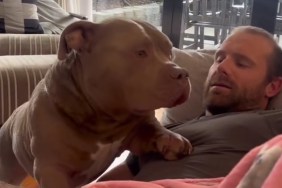 Video: Bully Is Convinced He’s the ‘Lapdog’ With This Move