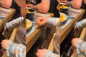 Video: Dog & Little Baby Team up To Do This at Dinner