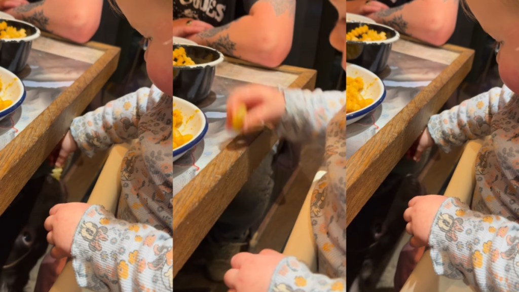Video: Dog & Little Baby Team up To Do This at Dinner