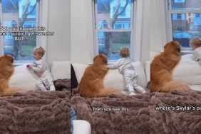 Golden Retriever's Invisible Paws Baffle Kid in Adorable Video