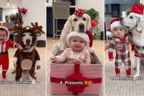 Golden Retriever Poses Next to Baby in Their Matching Christmas Fits