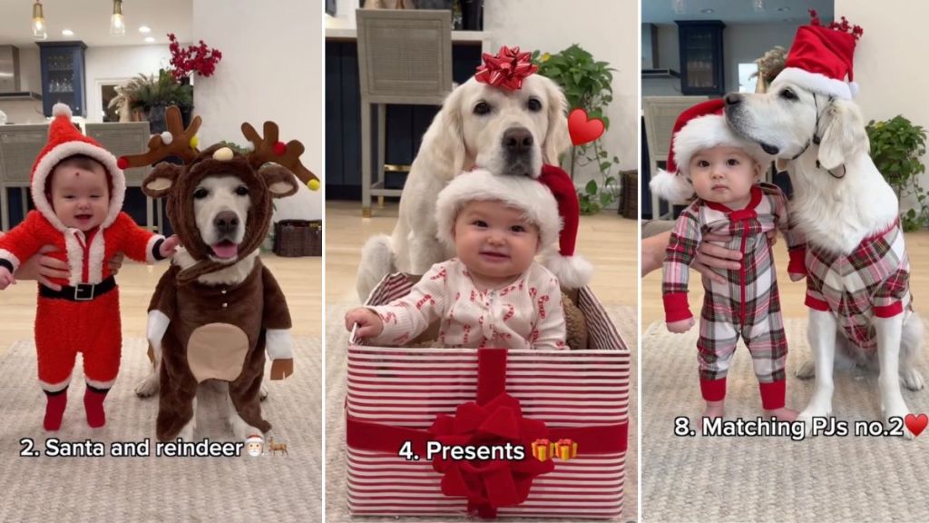 Golden Retriever Poses Next to Baby in Their Matching Christmas Fits