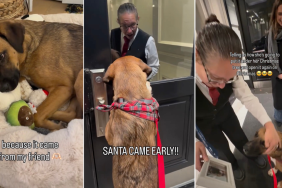 Video: Dog & Human Friend Exchange Heartwarming Christmas Gifts